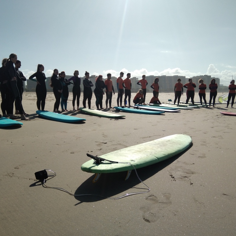 Line of surfers on the beach with boards facing the sea — large group surf class Aguda Gaia